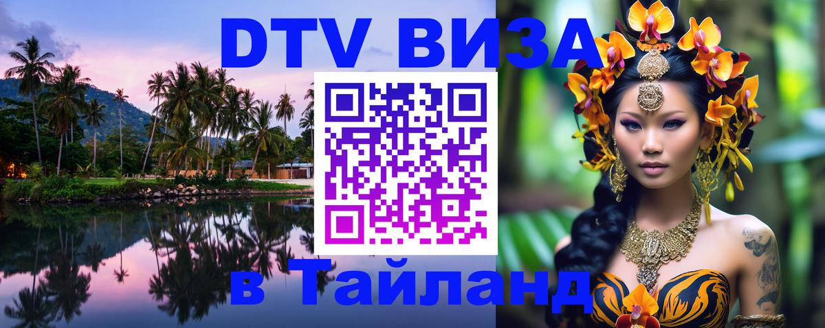 Сколько стоит DTV виза — актуальные цены, оформление даже без документов - 20.11.2025 